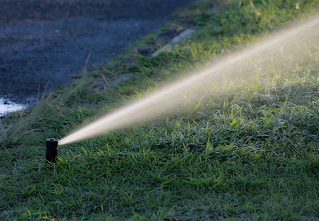water, watering, nature-1544808.jpg