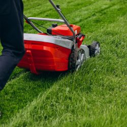 Man cutting grass with lawn mover in the back yard